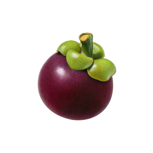 Exotic Fruit Powdered Water Enhancer - Skin Vitality Medical Clinic